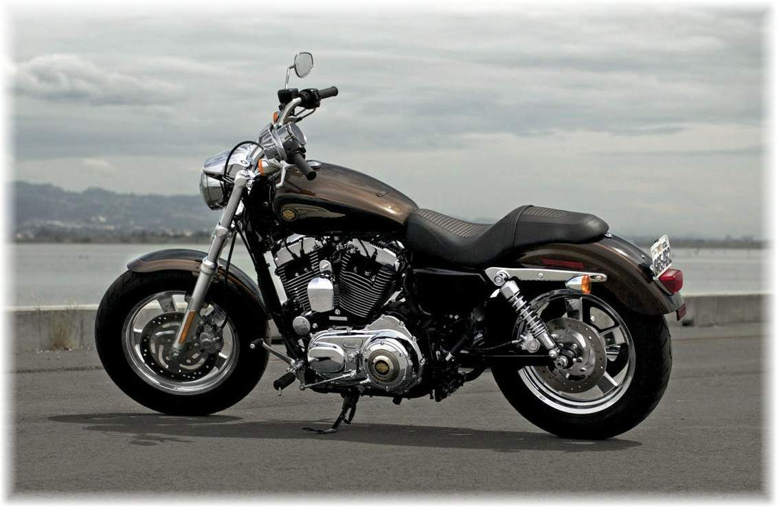 Harley-Davidson® Tank Bra, Fit XL Models w/ 4.5 Gallon Fuel Tank